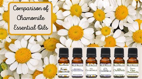 what essential oils are similar to chamomile